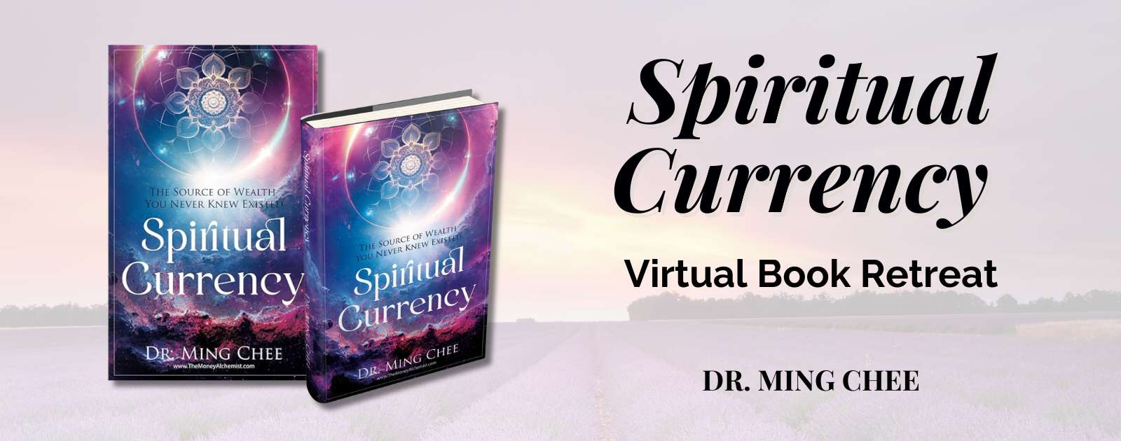 Dr.Ming Virtual Book Retreat